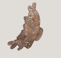 Iridescent Butterfly Claw Clip